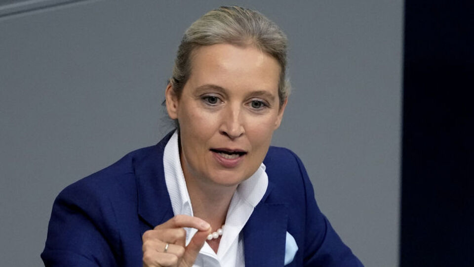 AfD Lideri Almanya'daki müslümanları hedef aldı