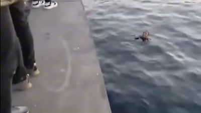 Denize düştü! "Allah beni boğmuyor"
