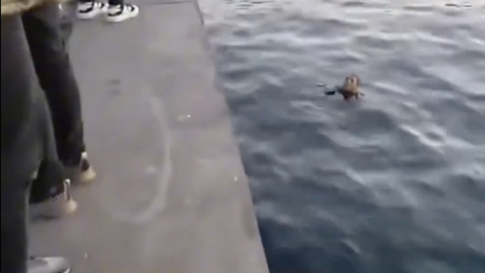 Denize düştü! "Allah beni boğmuyor"