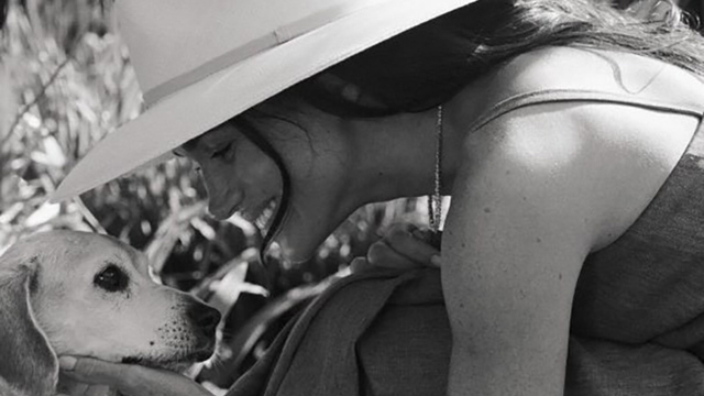 Ünlülere üzülen yok, tepki var