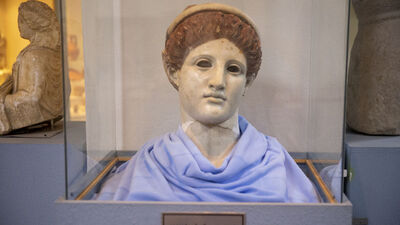 Dünyada nadir görülüyor... Bolu'da sergileniyor