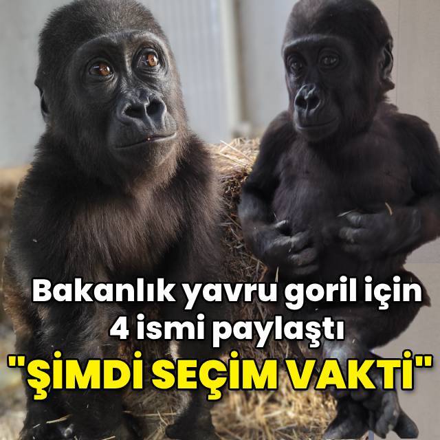 Bakanlık 4 ismi paylaştı: Şimdi seçim vakti