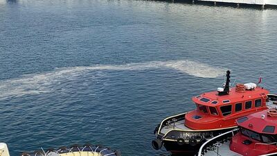 Müsilaja karşı "takip sistemi" önerisi