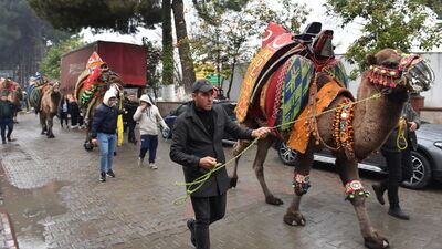 Aydın'da "En Yakışıklı Deve" seçildi