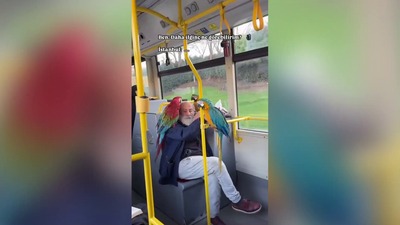 Üsküdar'da renkli yolculuk