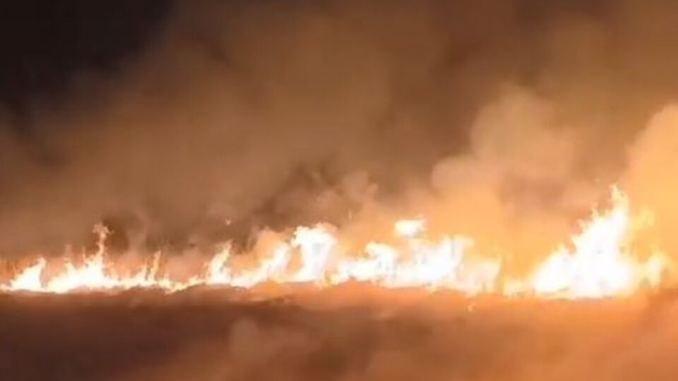 Sultan Sazlığı Milli Parkı'nda yangın