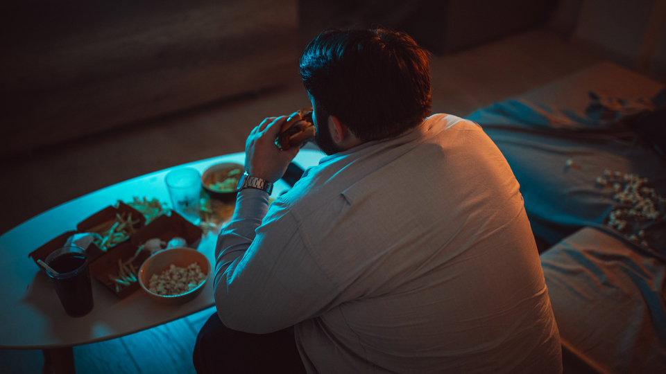 Martı eti yenir mi?