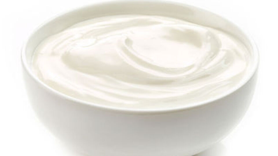 Sünen yoğurt yenir mi?