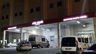 Kestiği ağaç ölümüne yol açtı