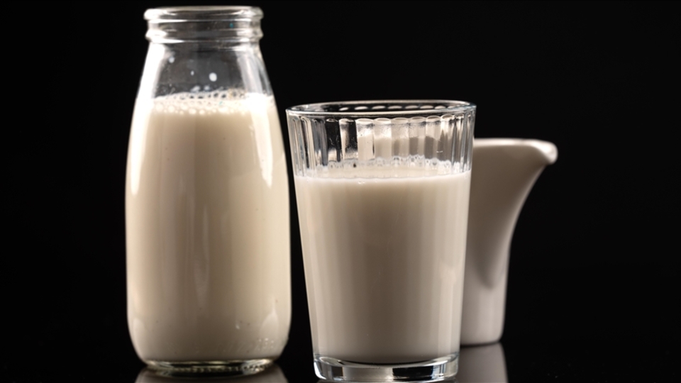 Süt üretiminde artış