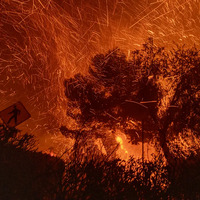 Los Angeles'taki yangınlar neden bu kadar büyük yıkıma yol açtı?