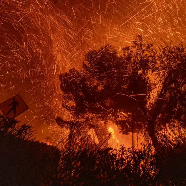 Los Angeles'taki yangınlar neden bu kadar büyük yıkıma yol açtı?