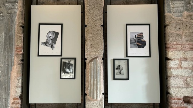 'Düşler'in peşinde bir sergi