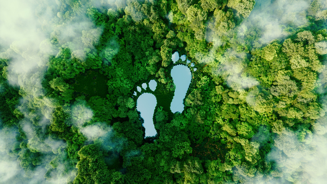 Ekolojik ayak izi nedir?