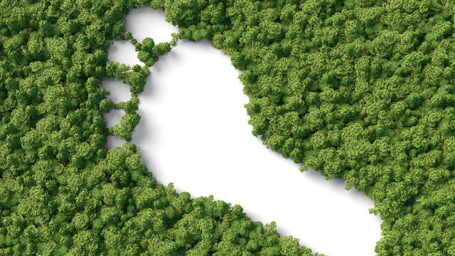 Karbon ayak izi nedir?