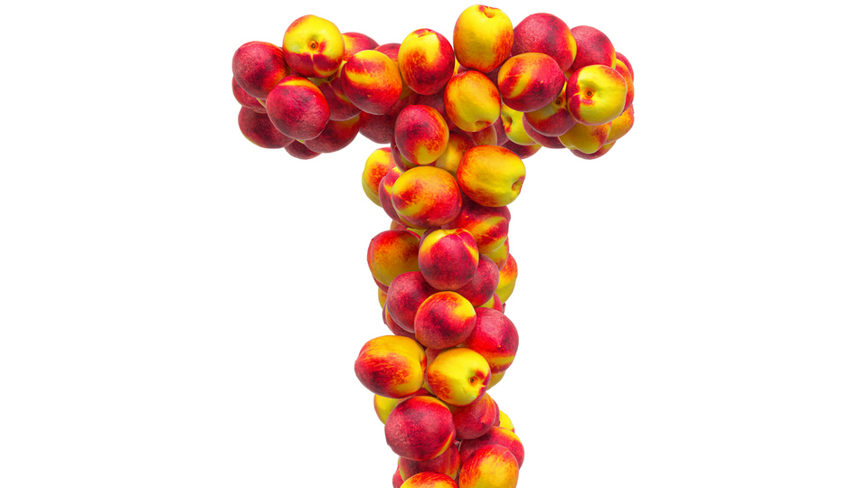 T harfi ile başlayan meyve isimleri