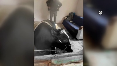 Pencereyi kırıp eve girdi