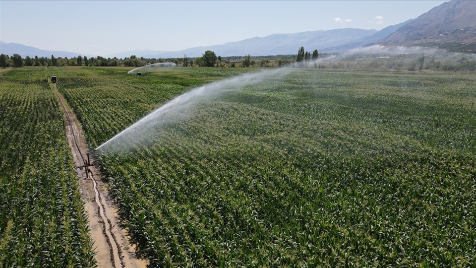 Tarımda en büyük yatırım payı sulama projelerine ayrıldı