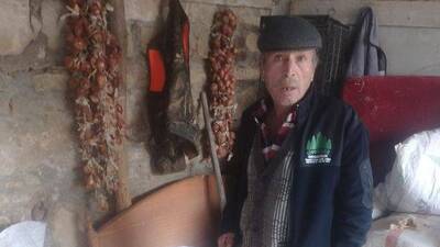 Ağıla giren köpekler kuzuları öldürdü