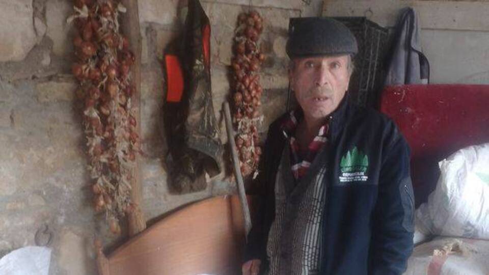 Ağıla giren köpekler kuzuları öldürdü