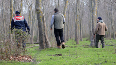Bursa'da firari ayı hala bulunamadı