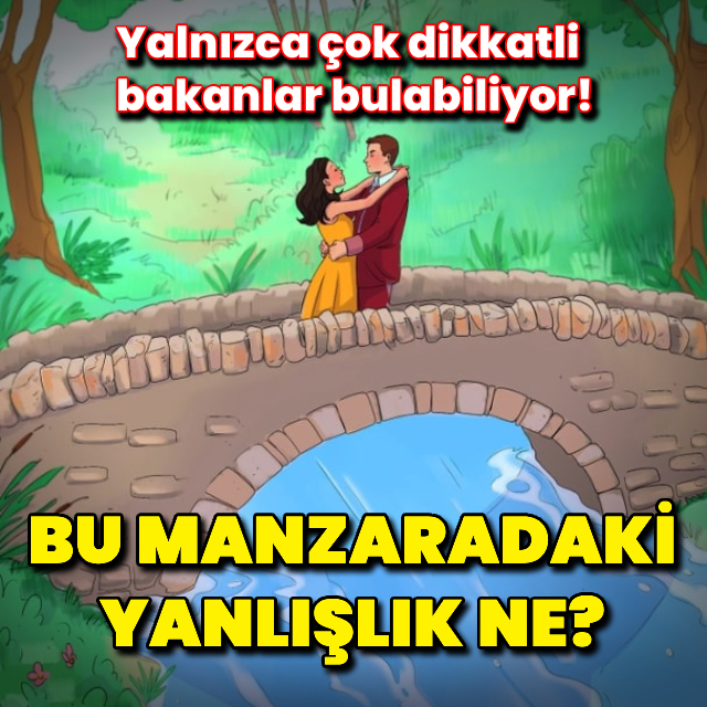 Bu manzaradaki yanlışlığı bulabilir misiniz?