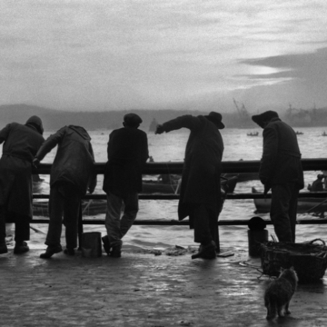 Ara Güler Müzesi'nde harika bir sergi: İstanbul Uyanıyor