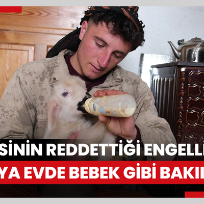 Annesinin reddettiği engelli kuzuya evde bebek gibi bakılıyor