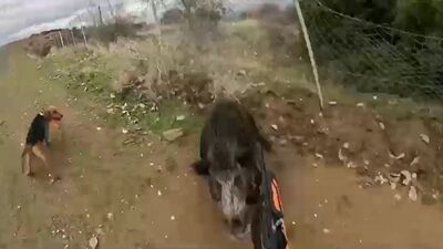 Avcı iken av oluyordu!