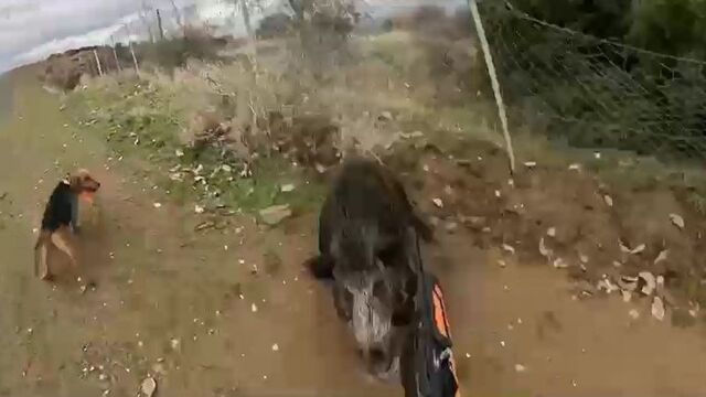 Avcı iken av oluyordu!