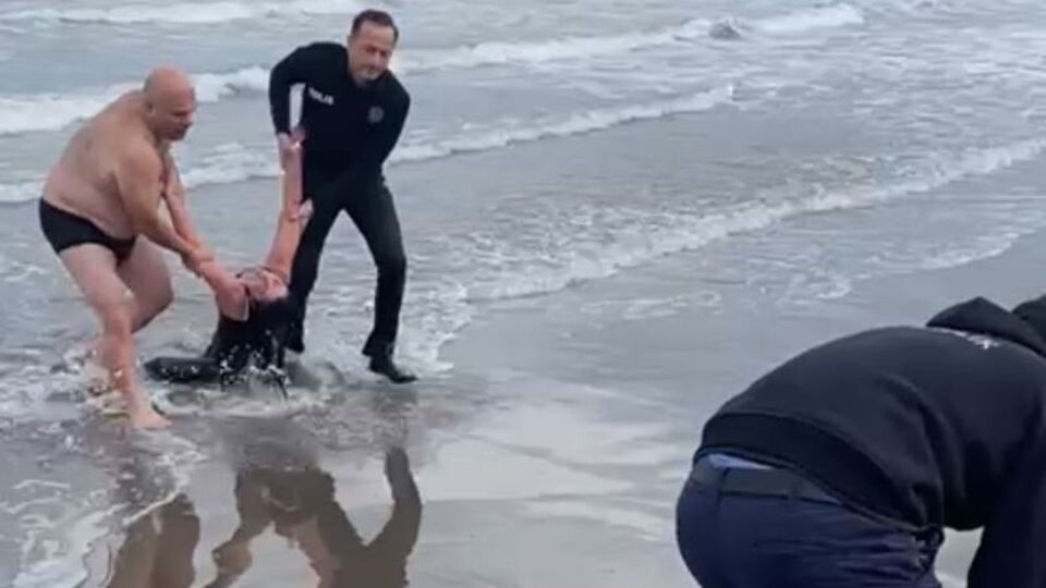 Denize atlayan kadını polis kurtardı! O anlar kamerada!