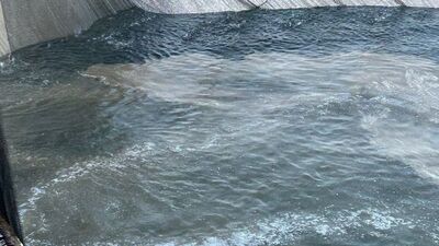 Ağlara müsilaj takıldı!