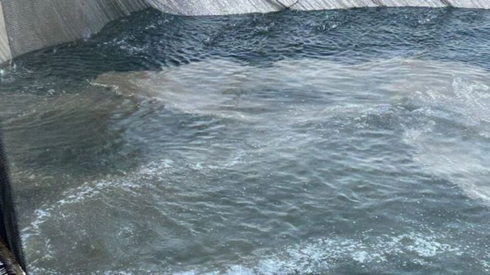 Ağlara müsilaj takıldı!