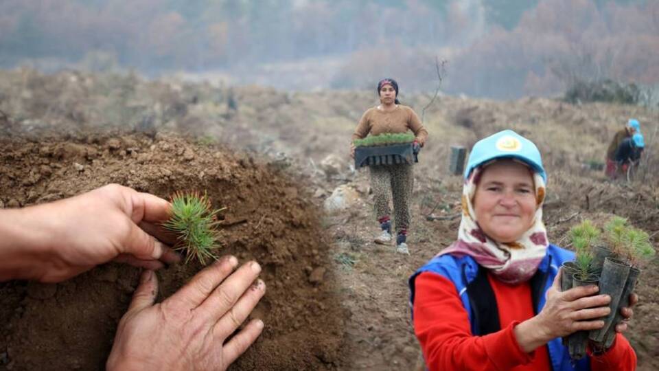 Fidanlar kadınların ellerinde yeşeriyor
