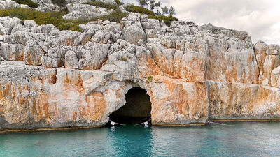Akdeniz foklarının yuvasına zincirli koruma