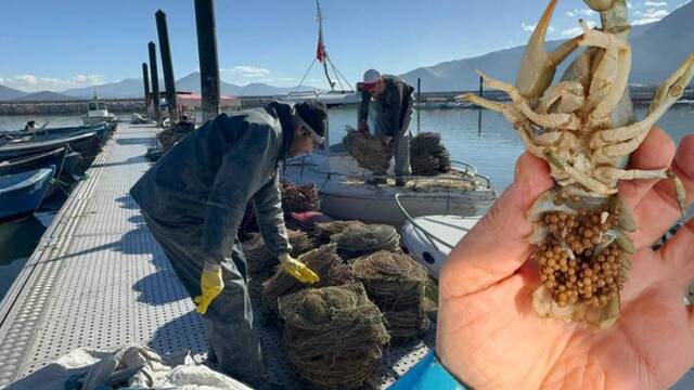 Eğirdir'de kaçak avla mücadele