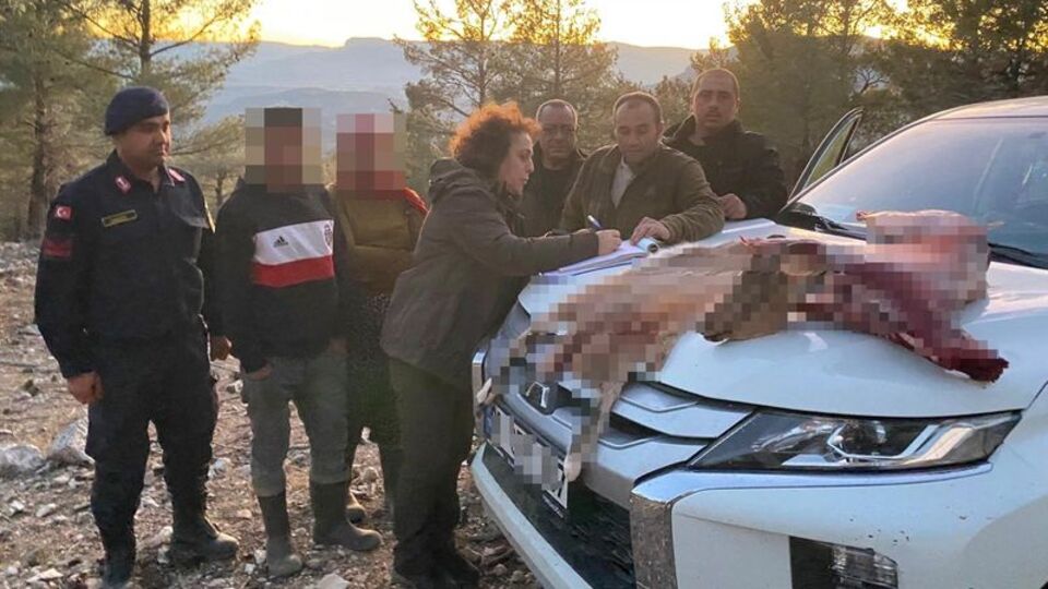 Yaban keçisi avına 673 bin 766 lira ceza