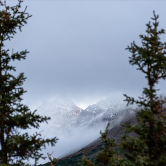 Trump'ın yeni gündemi "Alaska"