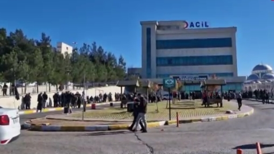 Sokak köpeği 5 yaşındaki çocuğa saldırdı