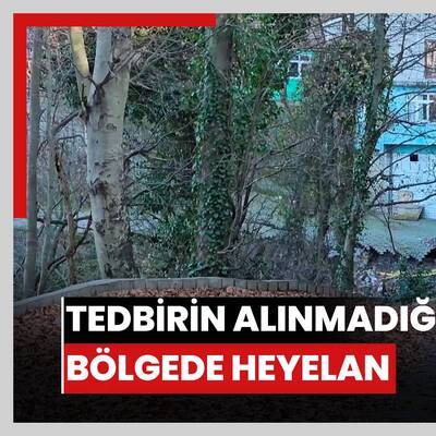Tedbirin alınmadığı bölgede heyelan; bu kez istinat duvarı ile ağaçlar kaydı