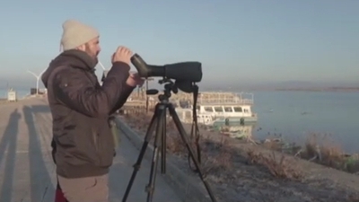Göller Bölgesi'nde su kuşu sayımı