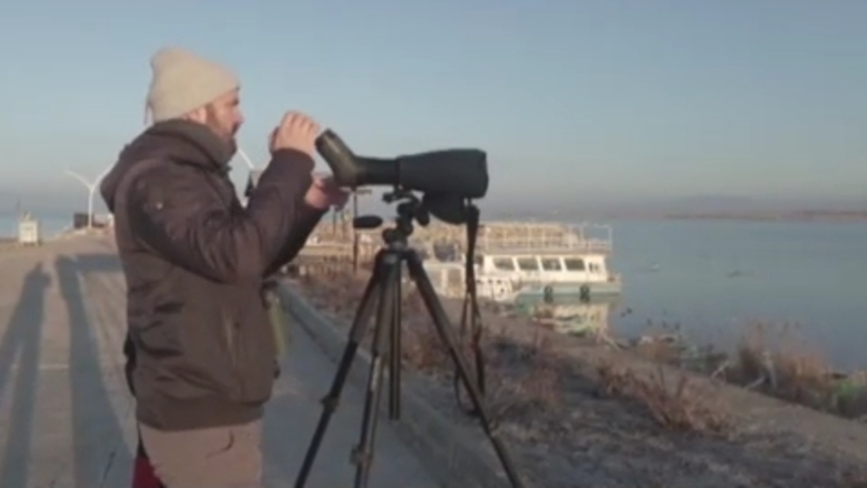 Göller Bölgesi'nde su kuşu sayımı