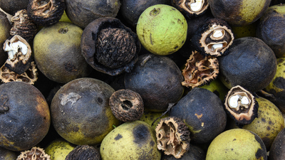 Kararmış ceviz yenir mi?