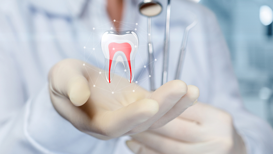 Dişlerinizle ilgili ilginç gerçekler