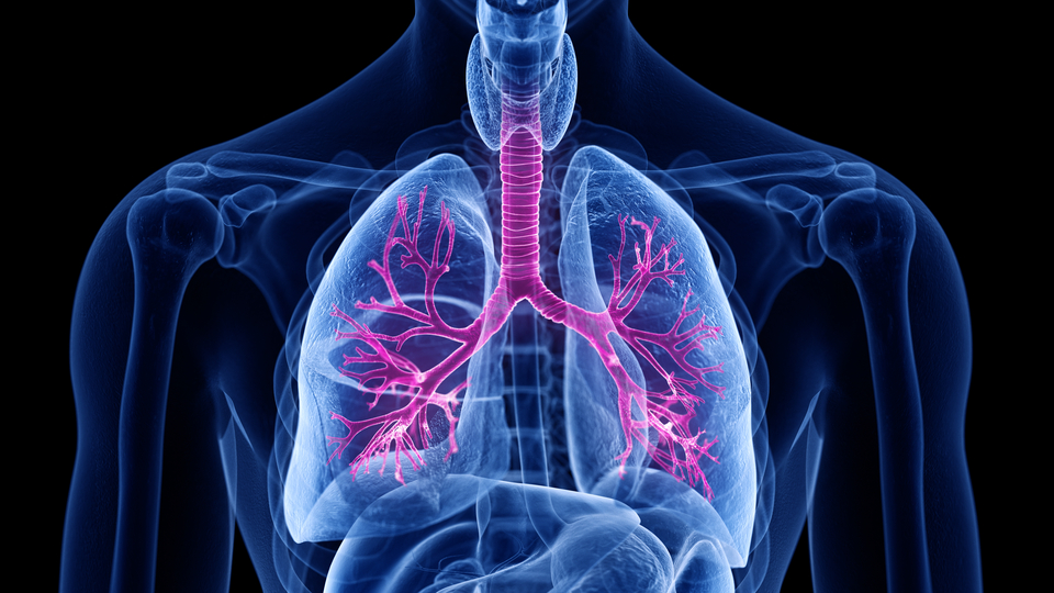 Prof. Dr. Özlü'den 'zatürre' uyarısı!