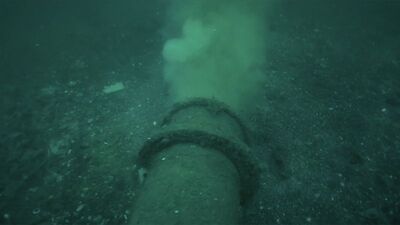 "Kaybedecek tek bir günümüz yok"