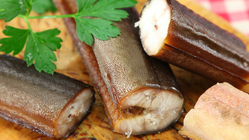 Yılan balığı yenir mi?