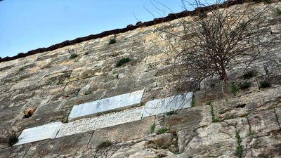 Binlerce yıllık sur ve burçlar "yeşerdi"