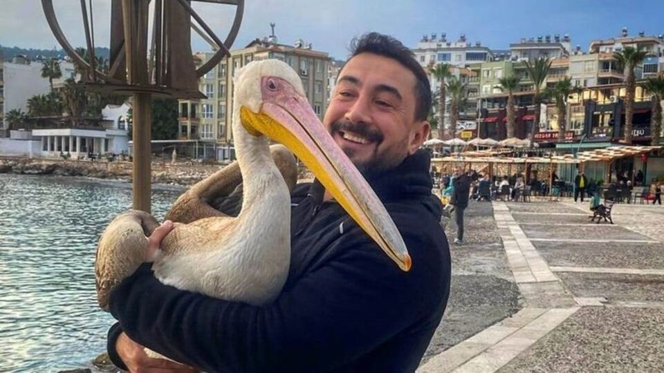 Silifke sahillerinde dolaşan pelikan insanların dostu oldu