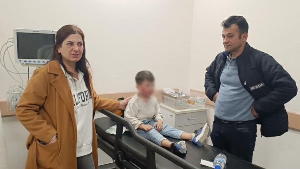 Sahipsiz köpekler çocuğu yaraladı